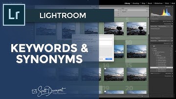 Keywords And Synonyms In Lightroom