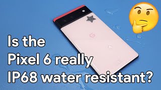 Housemate Drops Her Pixel 6 In Water by Restore Technique 15,633 views 1 year ago 14 minutes, 24 seconds