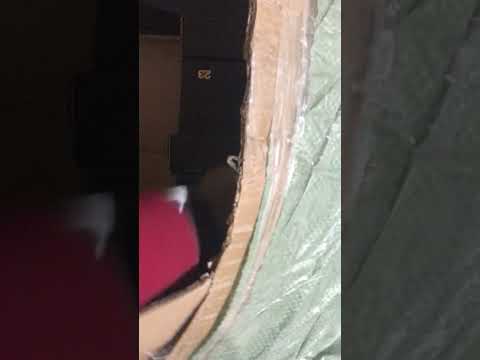 بارگیری حمل تخلیه و ترخیص انواع کالا از امارات متحده عربی دبی به ایران