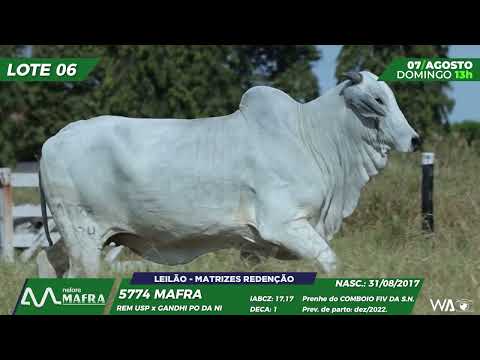 LOTE 06 MFRA 5774