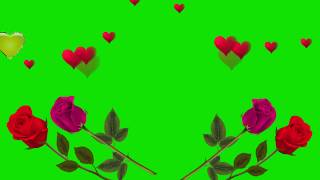 Розы И Сердечки На Зеленом Фоне (Хромакей) Ко Дню Святого Валентина