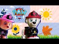 🐾 PAW PATROL🐾 Aprendemos las ESTACIONES con MARSHALL y SKYE - VIDEO PARA NIÑOS DE 3 A 4 AÑOS