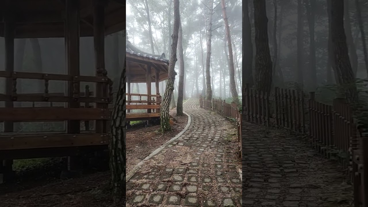 #소백산자연휴양림#아침산책#힐링됨니다