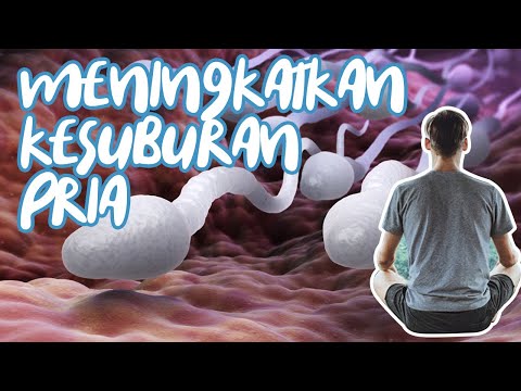 Tingkatkan Kesuburan Pria dengan Mudah