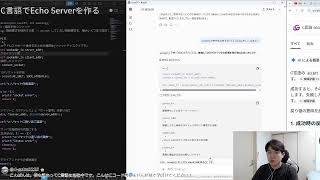 【#0010/300】C言語でEcho Serverを作る|Building a Linux CLI Tool