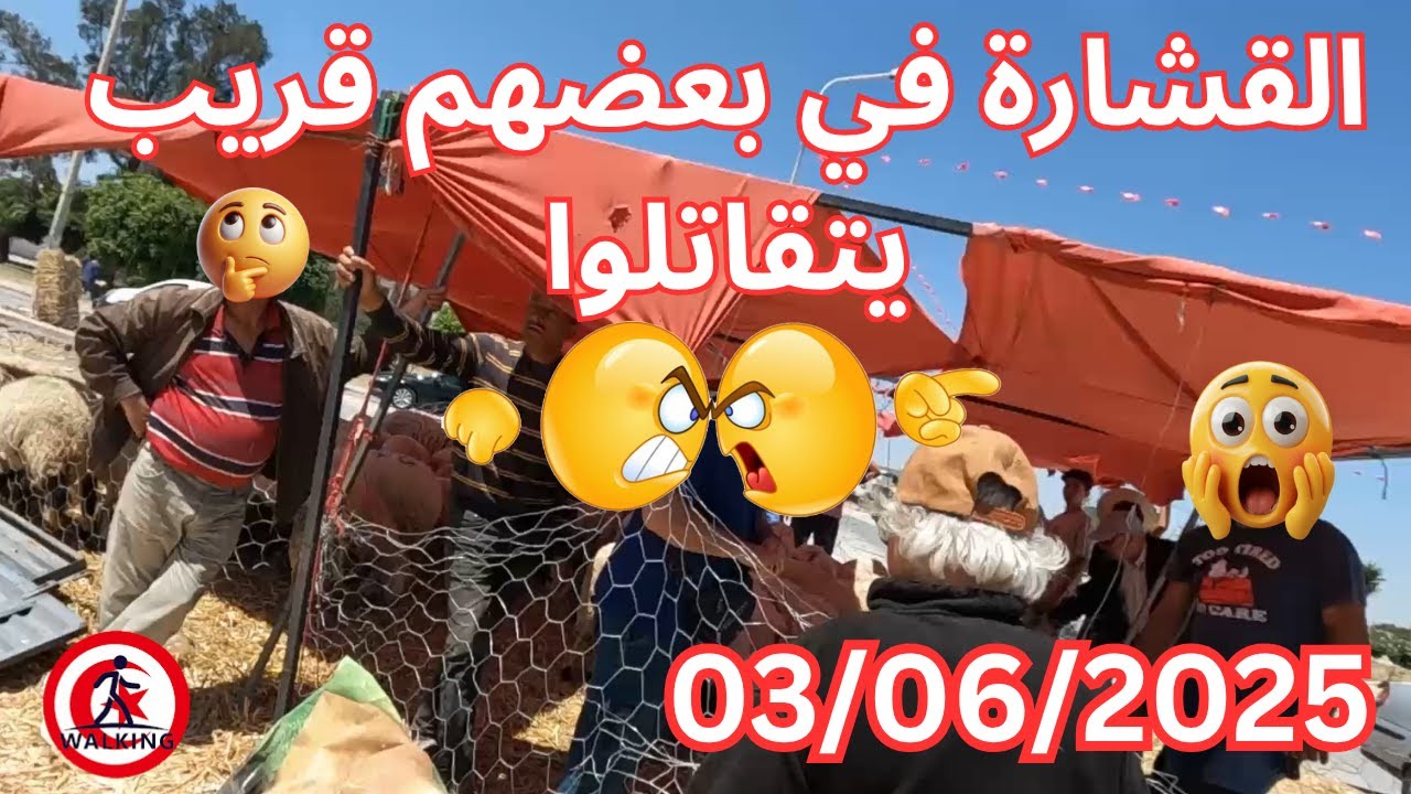 القشارة في بعضهم قريب يتقاتلوا العلوش نار في رادس  (rades tunis)