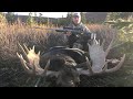 Alaskan yukon moose hunt part 2 with bcextremeoutdoorsman