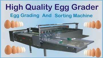 High Quality Egg Grader | Egg Grading Machine | Egg Sorting Machine.