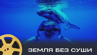 ПРЕМЬЕРА 2025! ЗЕМЛЯ БЕЗ СУШИ \ IF THERE WAS NO LAND ON EARTH | документальный, мир природы