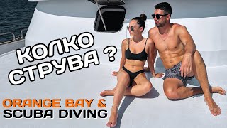 видео: ГМУРКАНЕ В ЕГИПЕТ I ВСИЧКО, КОЕТО ТРЯБВА ДА ЗНАЕТЕ картинка: ГМУРКАНЕ В ЕГИПЕТ I ВСИЧКО, КОЕТО ТРЯБВА ДА ЗНАЕТЕ
