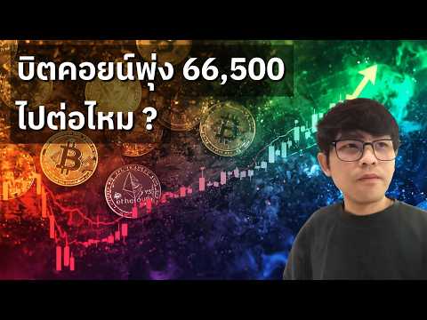 บิตคอยน์พุ่ง $66,500 หลังพบสัญญาณสะสมครั้งใหญ่ช่วง Bottom (21/07/2026)