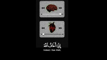 قرآن راحة نفسية | ستوريات قران كريم | قرآن حلات واتس اب | ستوري أنستغرام قران  | قرآن مقاطع قصيرة  |