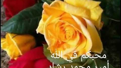 ما تيسر من سورة النمل