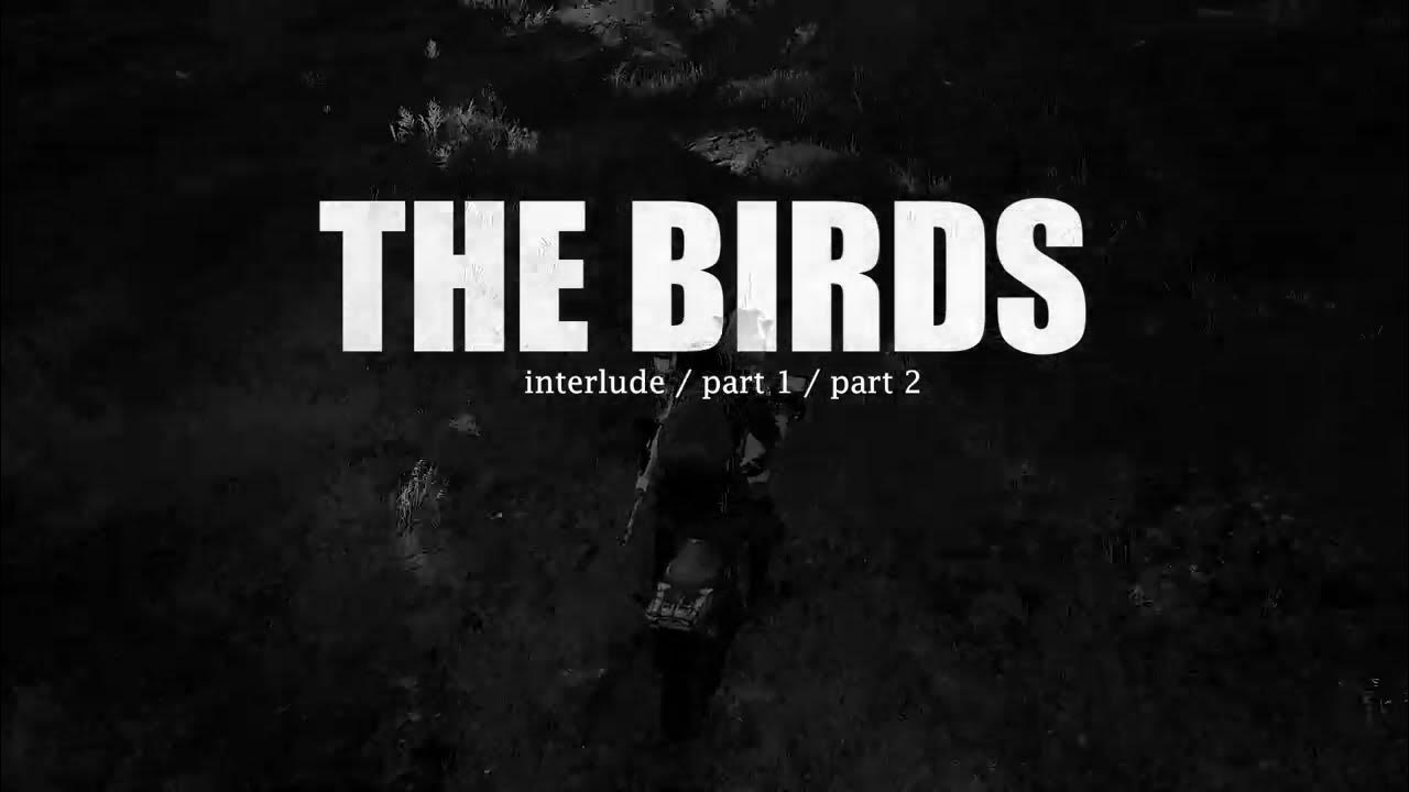 The birds part 1. The birds part 1