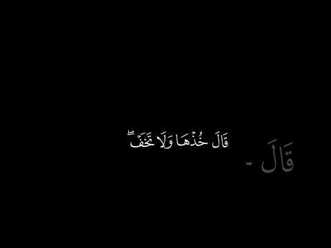 وما تلك بيمينك يا موسى الشيخ محمد ايوب 