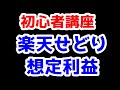 【楽天ポイントせどり初心者講座#1】楽天ポイントの想定利益とどんな生活か?