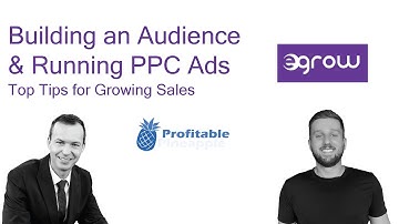 Growing Amazon FBA Sales by Building an Audience and Using PPC Ads