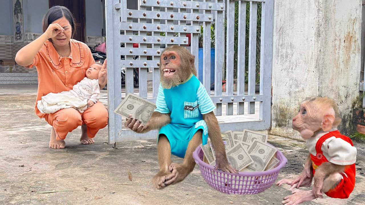 Mom touched as CUTIS & Baby Monkey spend big on special shopping trip