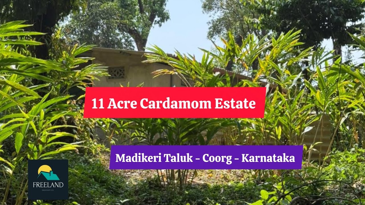 11 Acre Beautiful Cardamom Estate with River Sale Madikeri Taluk Coorg  Karnataka resort farmhouse 