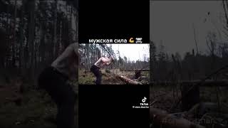 Мужская сила #сила #мужик #лес #топор #тайга #кадышева