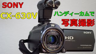 2013年のビデオカメラで写真撮影してみた【SONY】HDR-CX630V