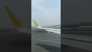 Amazing Many Airplanes On Park