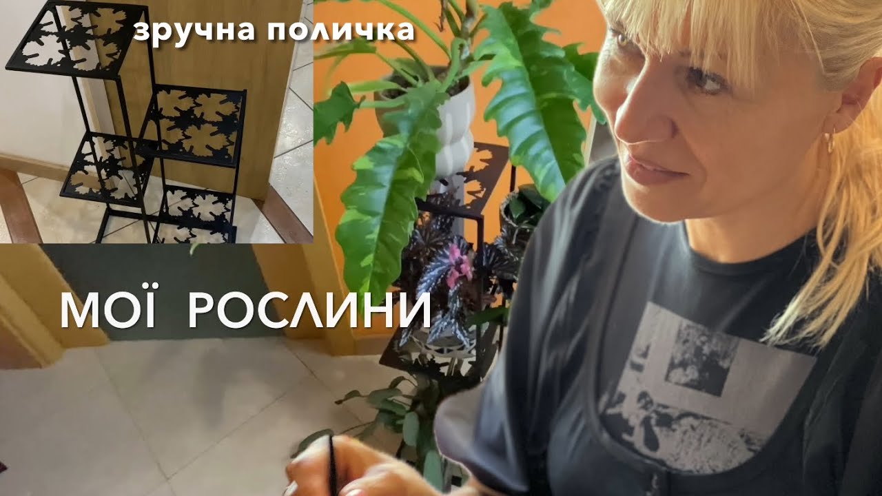 Великий ОГЛЯД кімнатних рослин + ІДЕАЛЬНА металева поличка!