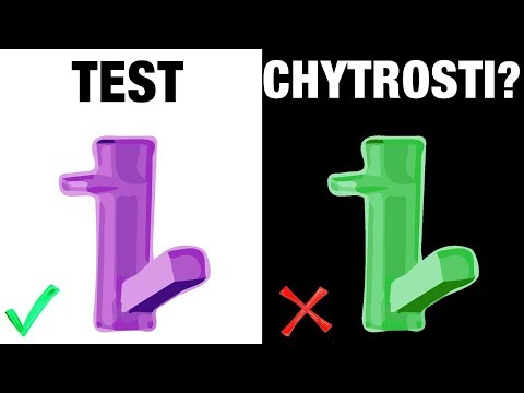 Jak se měří inteligence? TEST