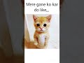 please like and subscribe