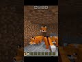 Minecraft Fox Moment #minecraft #shorts