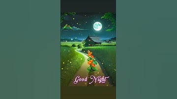 Good Night Status Videos WhatsApp Status Videos Good Night 02/05/2023