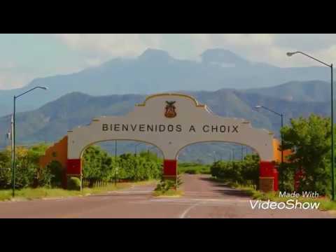 BAILE - OFFREZVOUS UN VIBRATEUR AMANT AVEC LAPIN LILAS main image 0