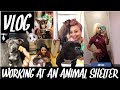 Animal Shelter Work VLog