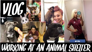 Animal Shelter Work VLog