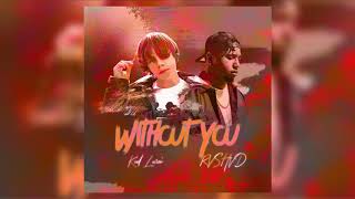 The Kid LAROI - Without You (Feat. RVSHVD) (Audio)