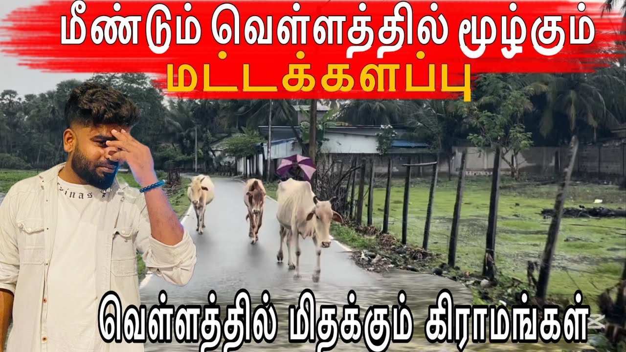 மட்டக்களப்பு மீண்டும் வெள்ளம் சூழ்ந்தது நேரடி காட்சிகள் 🔴 | Pk vlogs Tamil | batticaloa #flood   