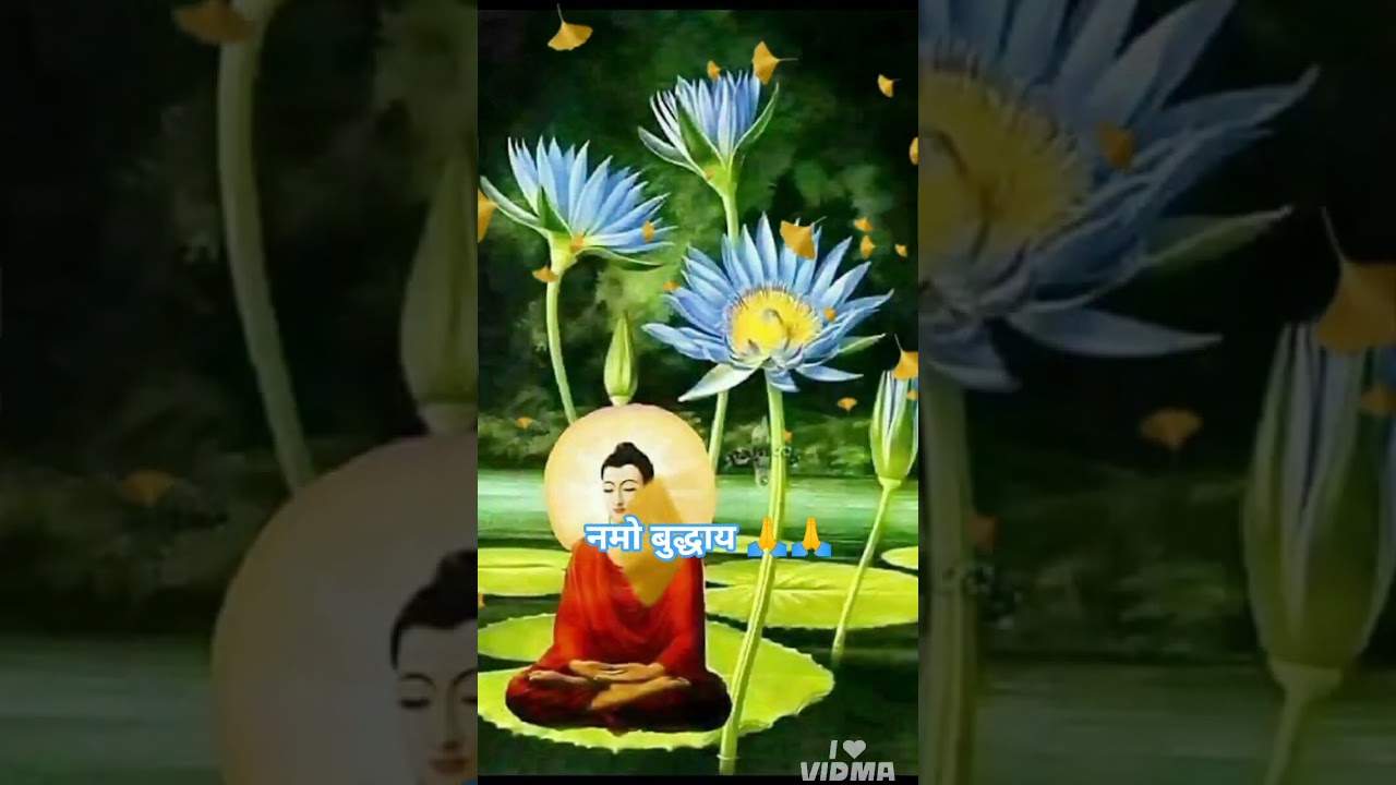 #शॉर्ट #वीडियो🪔 #बुद्धम #शणरम गछामी #buddha #budaya #buffalobills #business #motivation 🔯🔯
