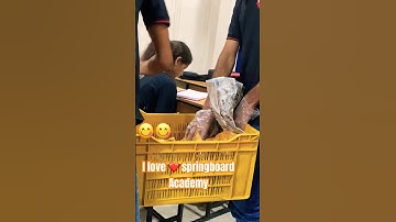 ||springboard academy || #viral #springboard_academy_jaipur #rajveersir #shorts #trending