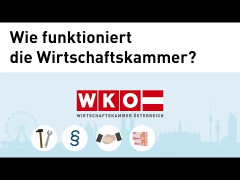 WKW - Wie funktioniert die Wirtschaftskammer?