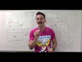 Mastering Passive Transport Through Diffusion and Osmosis
