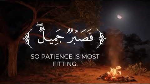 سورة يوسف ( و جاءوا على قميصه بدم كذب )