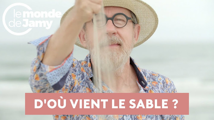 D'où vient le sable de nos plages ? Pourquoi disparaît-il ?