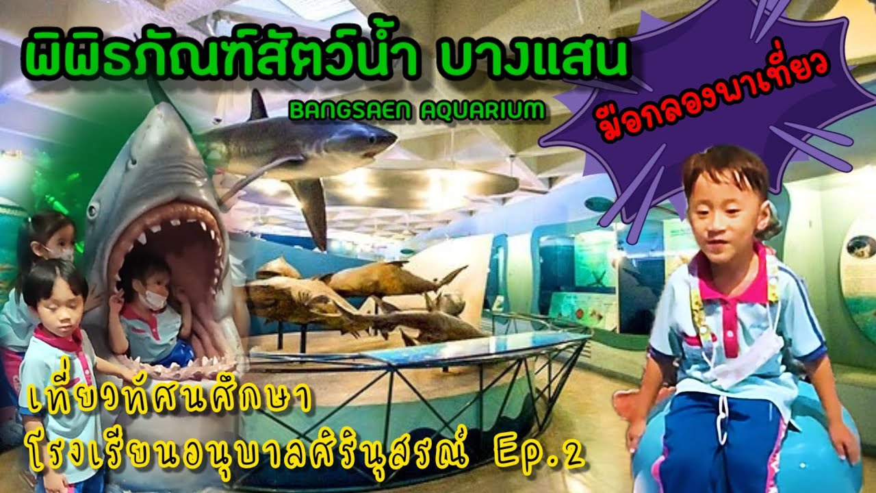 น้องมือกลองพาเที่ยว :: ทัศนศึกษาโรงเรียนอนุบาลศิรินุสรณ์วิทยา EP.2 พิพิธภัณฑ์สัตว์น้ำทางทะเลบางแสน