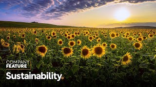Appian, AWS, and Appcino align the cloud with sustainability