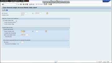SAP How to copy bulk gl accounts from 1 company to another