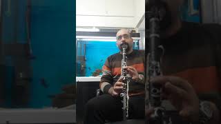 Sezen Aksu - Belalım (Klarnet Versiyon) #sezenaksu #minikserçe #belalım #klarnet #müzik #51helmet