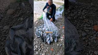 JALA IKAN DAPAT BANYAK SAMPE GAK KUAT BAWA #SHORTS #JALAIKAN