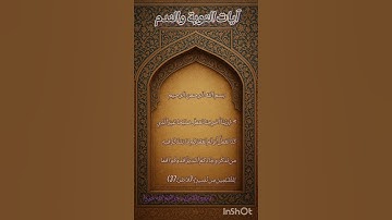 آيات التوبة والندم #المغرب #القرآن_الكريم #الله #تونس #عمان #فلسطين #العراق #الجزائر #status