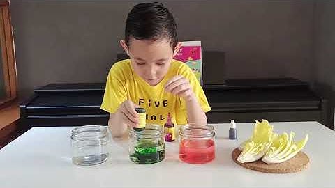 The Color Changing Chinese Cabbage | Fun DIY Science Experiment for Kids
