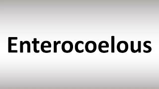 How to Pronounce Enterocoelous screenshot 5
